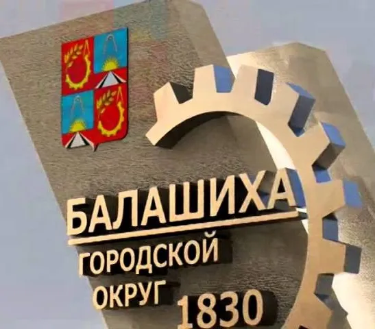 Компьютерная помощь в Балашихе